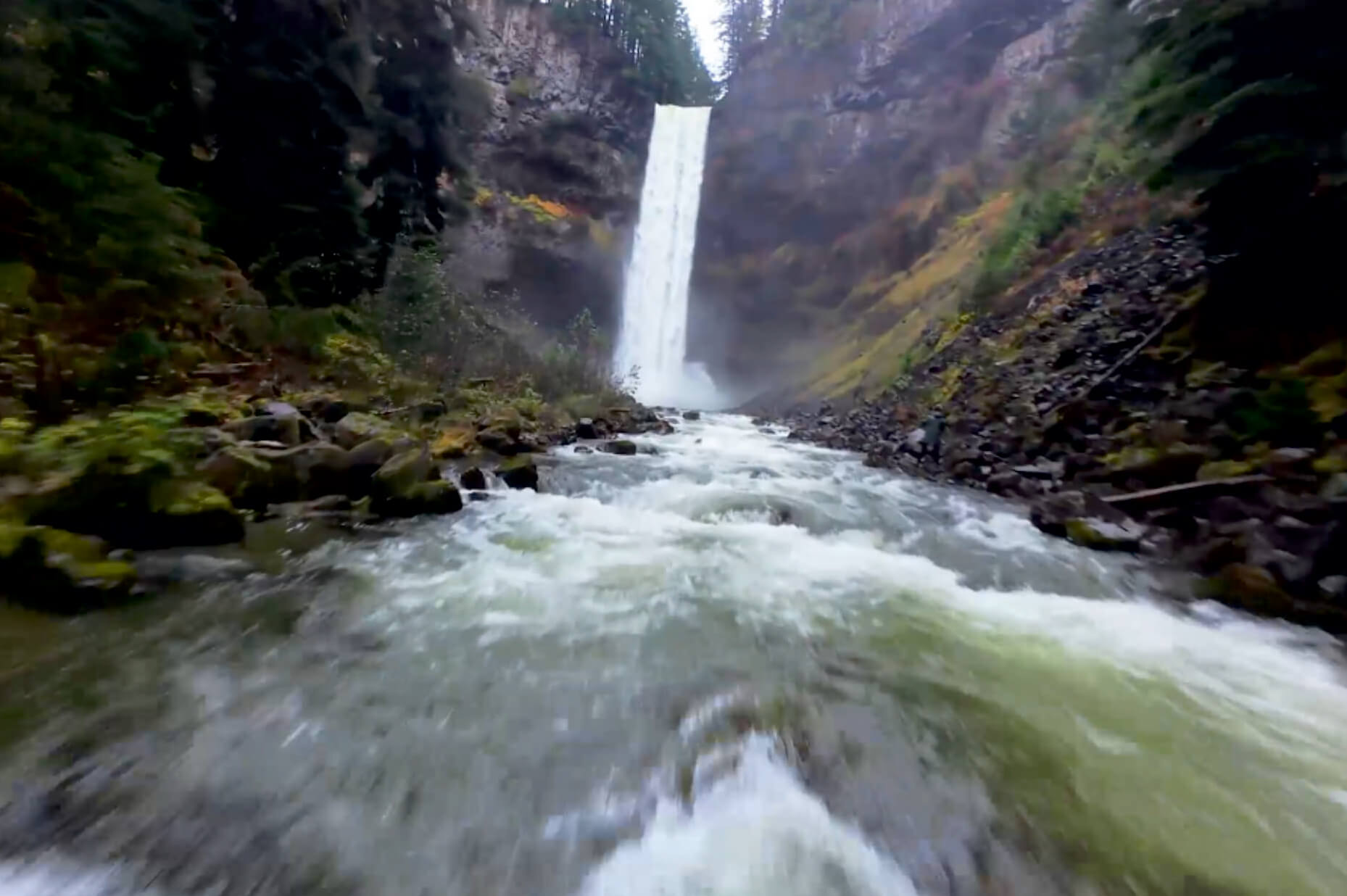 Search and monitor 3